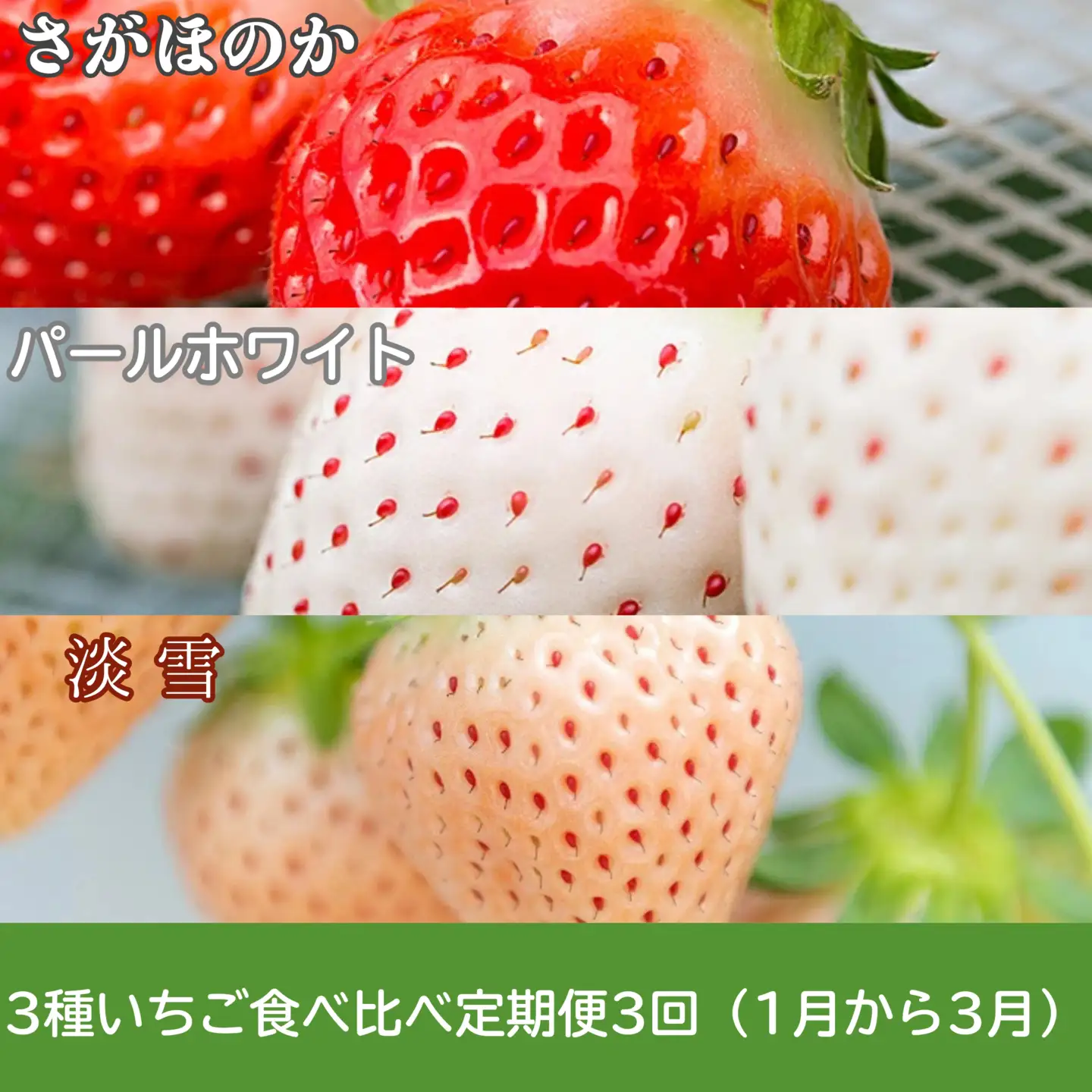 【定期便3回】佐賀県産 ３種いちご食べ比べ【2027年1～3月発送】苺 イチゴ：B395-007