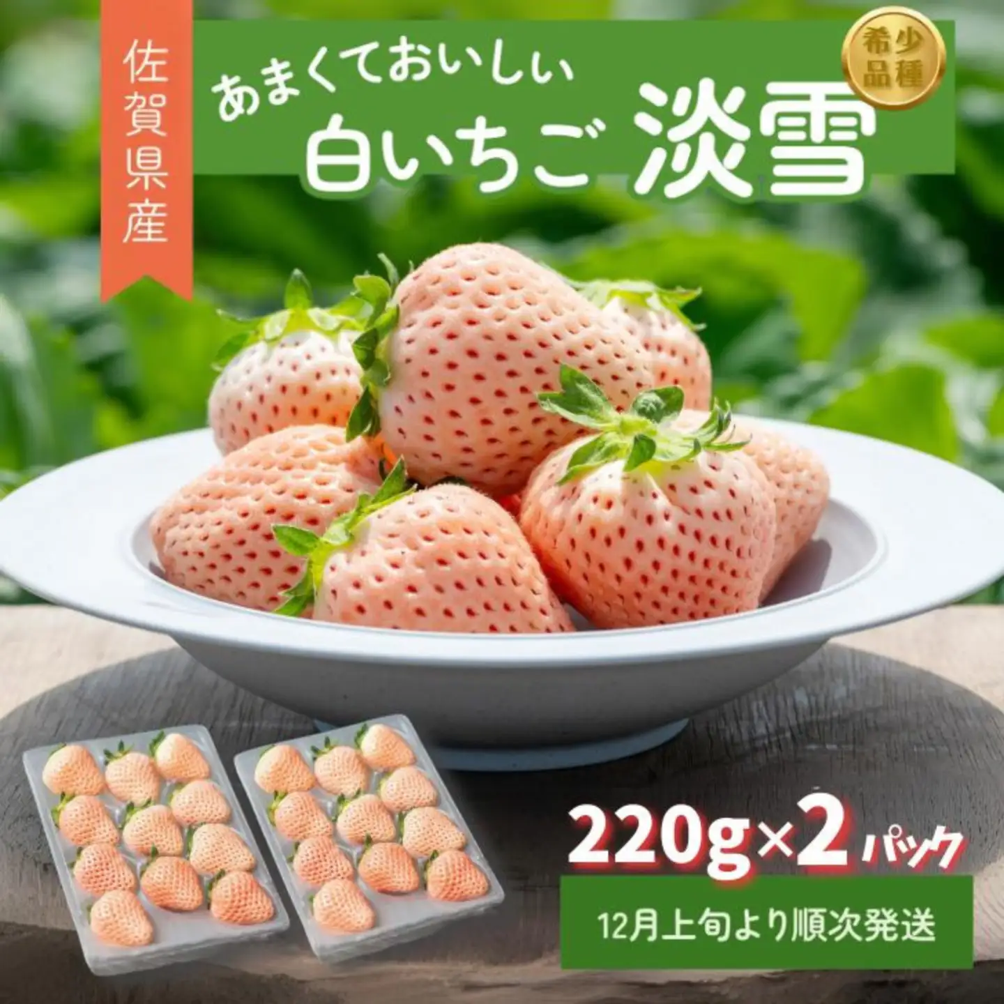 先行受付開始！希少価値 佐賀県産 いちご 淡雪 220g×2パック 2026年12月発送開始：B140-009