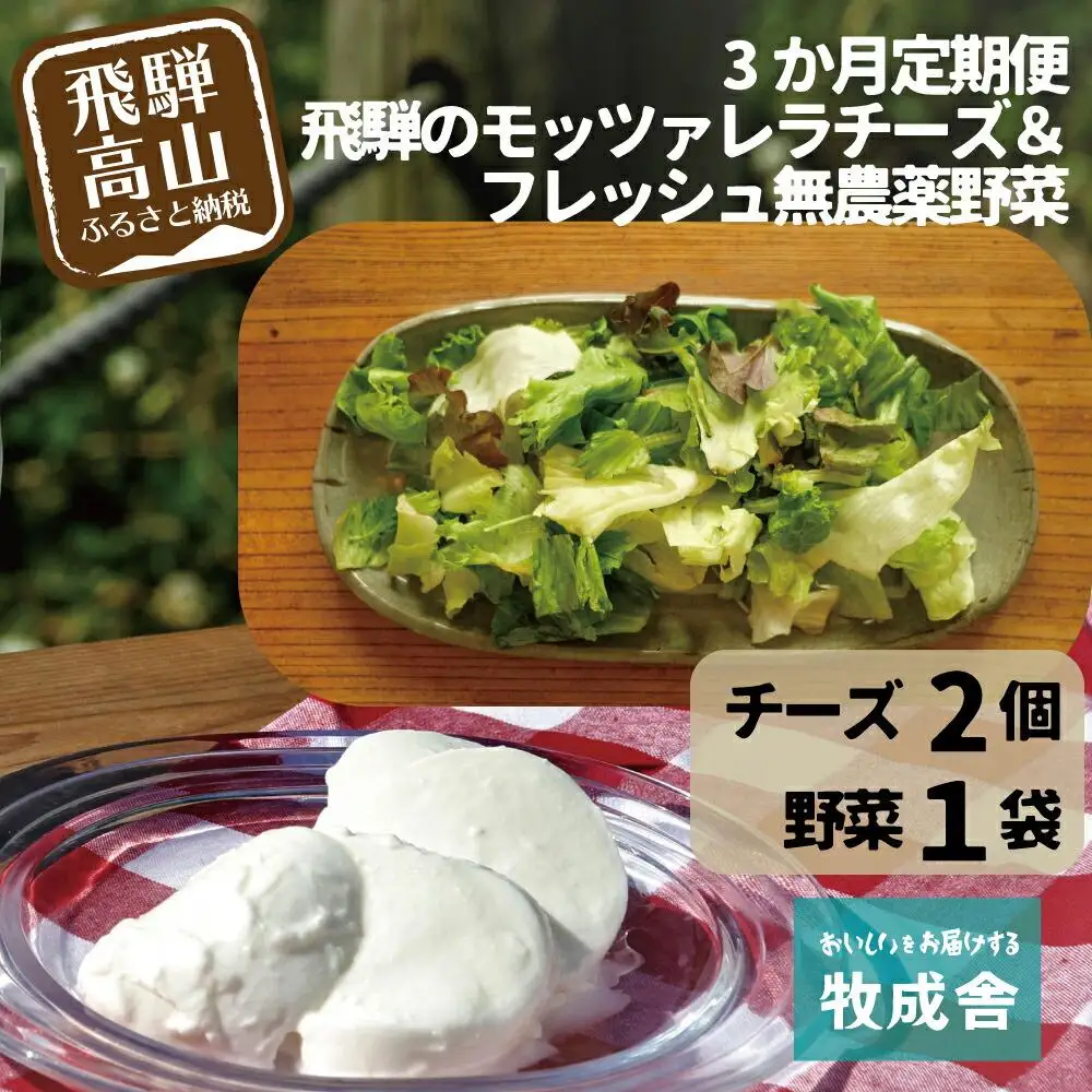＜牧成舎定期便 3カ月＞飛騨の新鮮モッツァレラ＆フレッシュ野菜 セット 3回お届け モッツァレラチーズ DF100