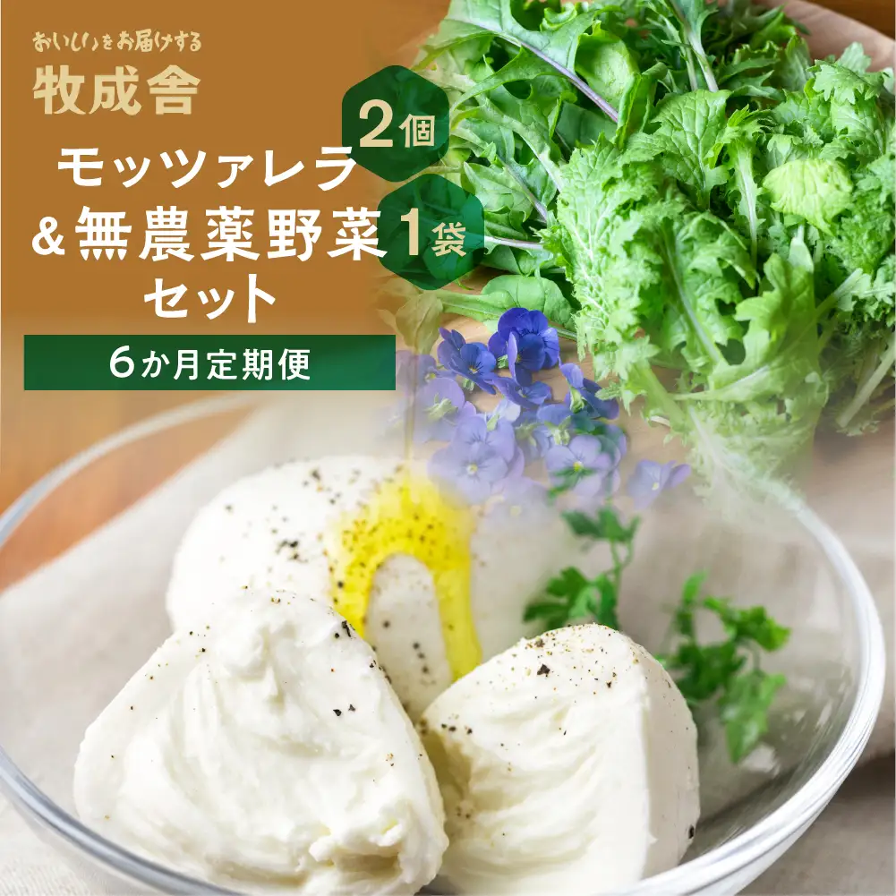 【 6ヶ月 定期便 】飛騨の新鮮モッツァレラ＆フレッシュ野菜 セット 6回お届け モッツァレラチーズ DF101