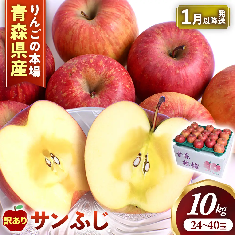 【訳あり】 大容量 青森県産りんご 1月～ サンふじ 10kg りんご
