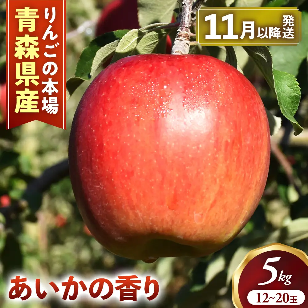 青森県産りんご あいかの香り 約5kg 11月中旬～ りんご