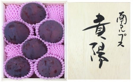 【2027年(令和9年)発送先行予約】来年発送！！特選！すもも「貴陽」約1.6ｋｇ桐箱 ALPAA021 | すもも 山梨県産すもも 貴陽 高評価すもも 甘いすもも 南アルプス市産すもも |