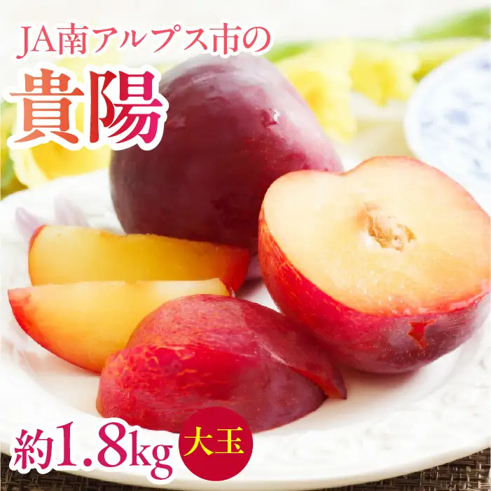 【2027年(令和9年)発送先行予約】来年発送！！すもも「貴陽」大玉約1.8ｋｇ ALPAA023 | すもも 山梨県産すもも 貴陽 高評価すもも 甘いすもも 南アルプス市産すもも |