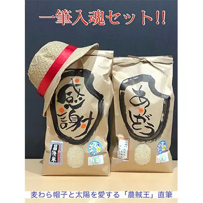 コシヒカリ 10セットのみ 米農家 一筆入魂 コシヒカリ