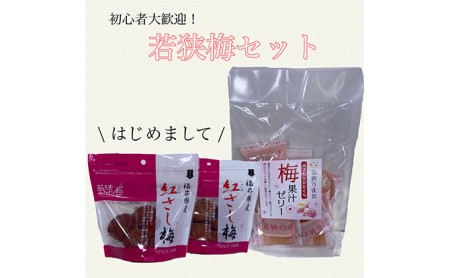 梅干し 初心者大歓迎 若狭梅はじめましてセット 梅干し