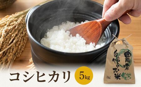 コシヒカリ 米 5kg 単一原料米 一等米 白米 コシヒカリ