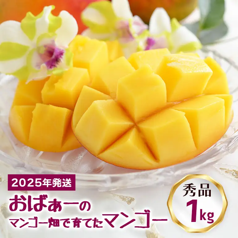 【 先行予約 2026年 発送 】 おばぁーのマンゴー畑で育てた マンゴー 1kg ( 秀品 ) 沖縄県産 アップルマンゴー アーウィンマンゴー 1キロ 国産 完熟マンゴー 果物 くだもの フルーツ 完熟 夏 旬 沖縄 お取り寄せ 産地直送 農家直送 甘い 糸満市 17-6