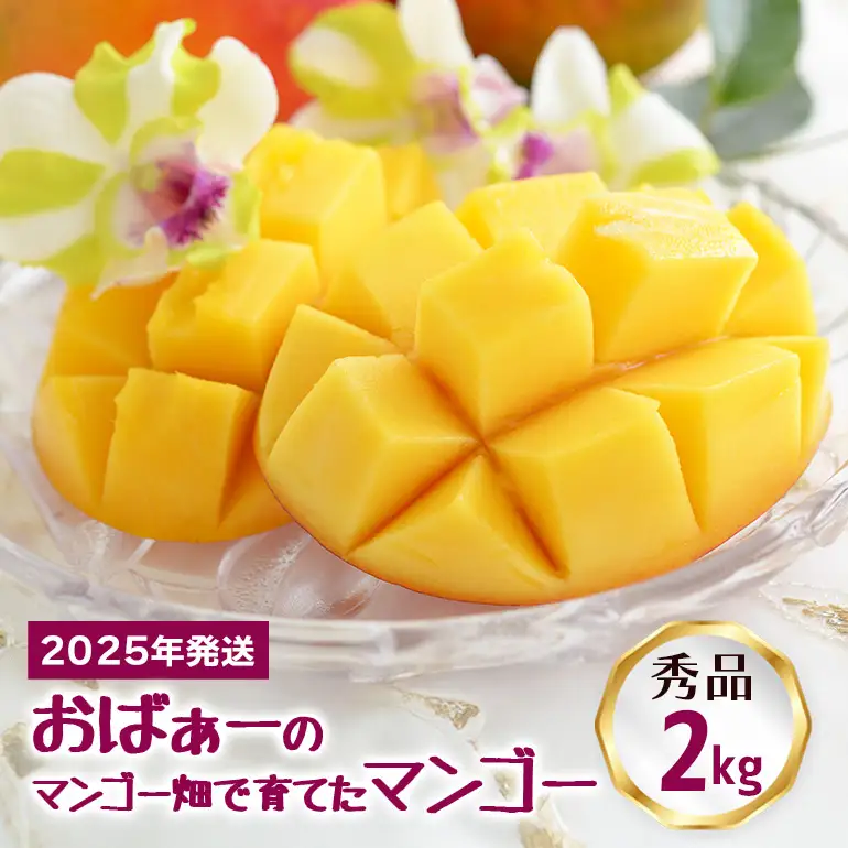 【 先行予約 2026年 発送 】 おばぁーのマンゴー畑で育てた マンゴー 2kg ( 秀品 ) 沖縄県産 アップルマンゴー アーウィンマンゴー 2キロ 国産 完熟マンゴー 果物 くだもの フルーツ 完熟 夏 旬 沖縄 お取り寄せ 産地直送 農家直送 甘い 糸満市 17-5