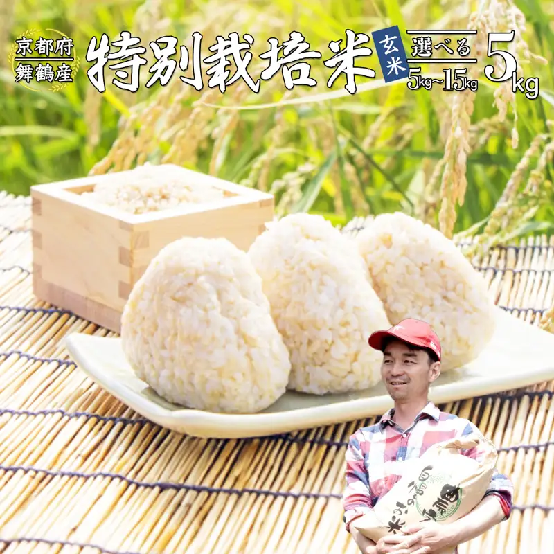 令和8年度産 新米 棚田米 5kg 精米 コシヒカリ 特別栽培米 7割削減 白米
