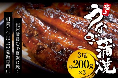 極上！国産うなぎ蒲焼 3尾（約200g×3） 創業100年以上続く老舗 紀州備長炭でじっくり焼き上げた専門店の味 （タレ・山椒付き）/ うなぎ ウナギ 鰻 蒲焼 国産 ふるさと納税【skr003A】