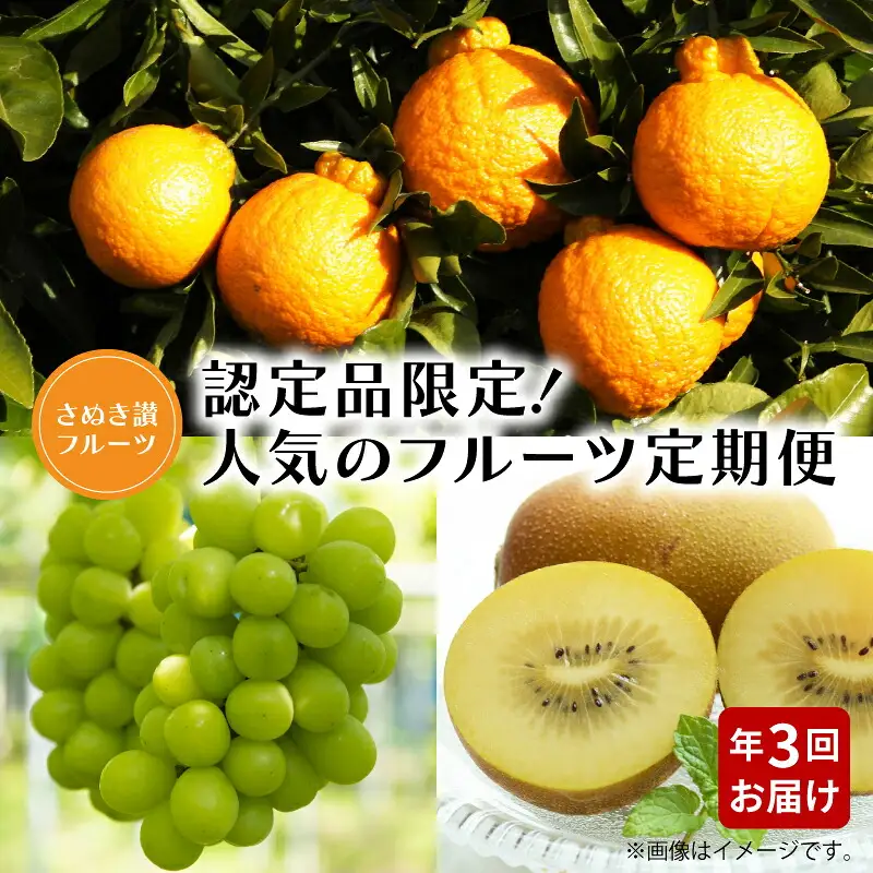 【さぬき讃フルーツ】認定品限定!人気のフルーツ定期便(年3回)