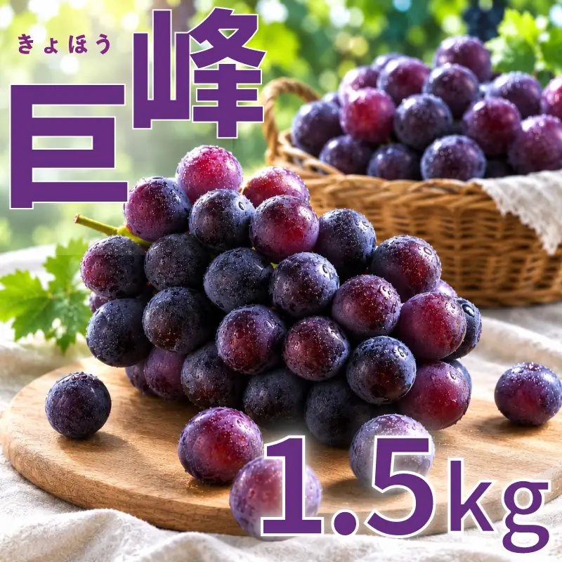 新鮮産直！巨峰 約1.5kg 2～4房【2027年発送】葡萄 フルーツ ぶどう RYE