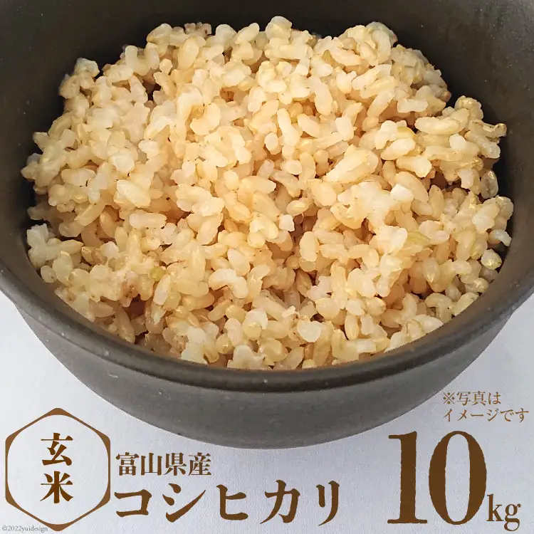 米 コシヒカリ 玄米 10kg