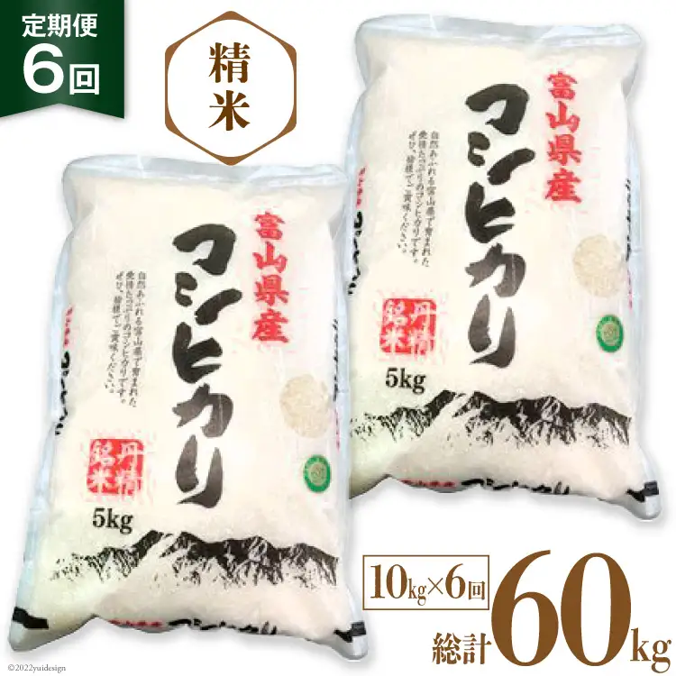 米 令和8年産 コシヒカリ 精米 10kg 6回 定期便