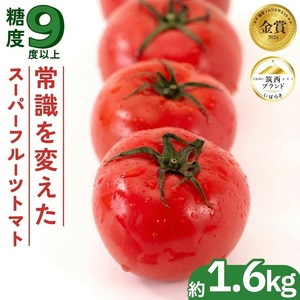 トマト スーパーフルーツトマト 小箱 約800g × 2箱  【大玉7～13玉/1箱】 2027年産 先行予約 とまと