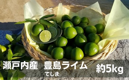 ライム 柑橘 豊島ライム 瀬戸内産 ライム【約5kg】