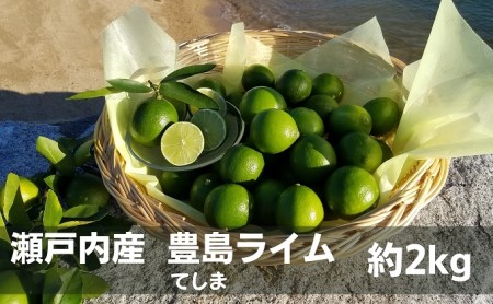 ライム 柑橘 豊島ライム 瀬戸内産 ライム【約2kg】