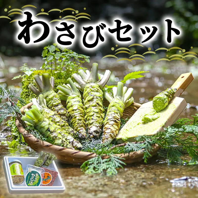 わさび セット 生わさび 2本 わさび漬け わさび味噌 わさび