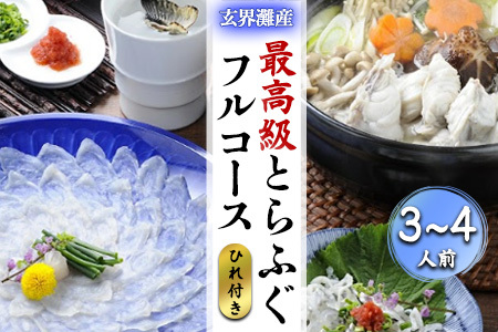 玄界灘産最高級とらふぐひれ付きフルコース（3～4人前） ( 魚 フグ 海鮮 鍋 新鮮 )【E0-021】