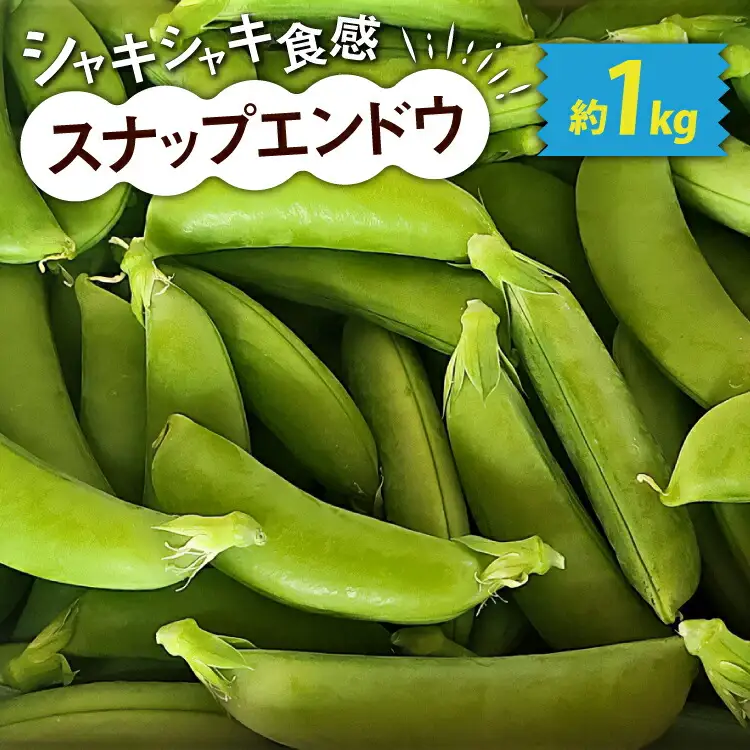 【期間限定発送】 野菜 スナップエンドウ 約1kg
