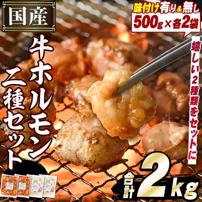 ＼テレビで紹介されました！／国産牛ホルモン2種セット(合計2kg) 国産 特産品 牛 小腸 味付 パック 詰め合わせ 詰合せ 炒め物 鍋 モツ おかず お弁当【スターゼン】akn031-01
