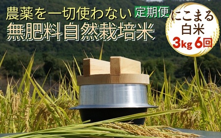 自然栽培米 にこまる 白米 定期便 3kg×6回