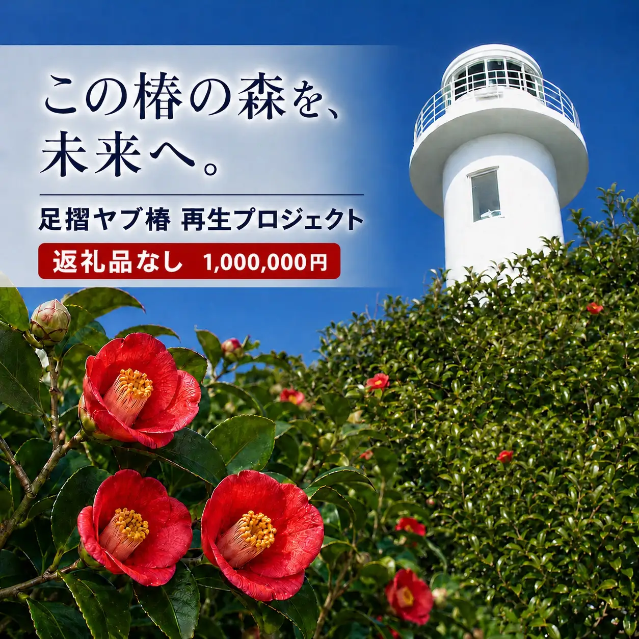 足摺ヤブ椿再生プロジェクト 応援一口 5,000円（1,500円分） ※返礼品なし※ 自然保護 椿 つばき ツバキ 藪椿 ヤブツバキ クラウドファンディング 募金 環境保護 SDGs 高知県【R01751】