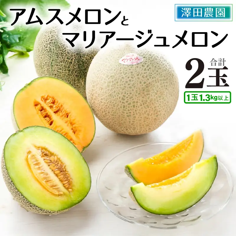 【先行予約】アムス・マリアージュメロン 2種（1.3kg以上 2玉入）農園1番のおすすめ！ / あわら 期間限定 果物 フルーツ 産地直送 青肉 赤肉 人気 ※2027年7月上旬より順次発送 [aw039-a019]