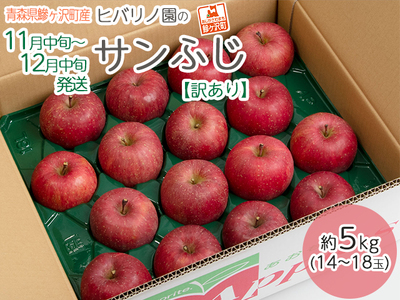 りんご 訳あり サンふじ 青森県産 ヒバリノ園 りんご【約5kg 14〜18玉】