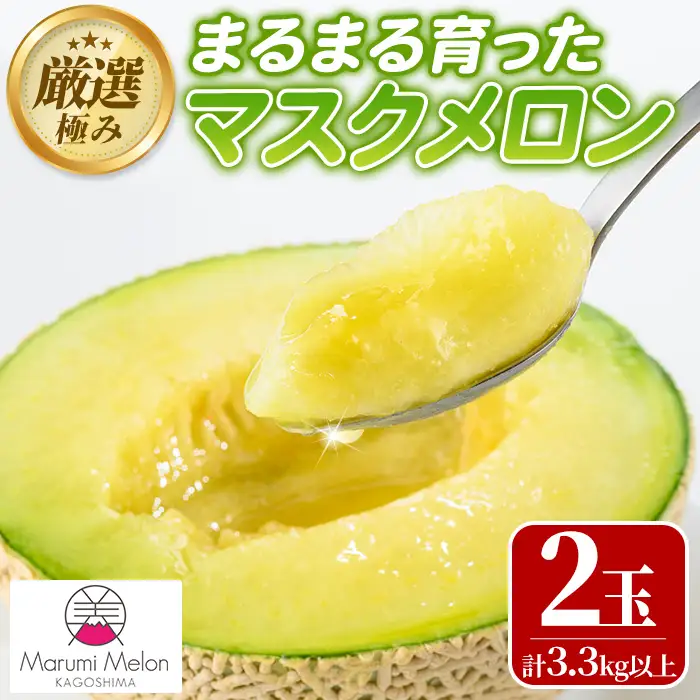 【0242205a】まるまる育ったマスクメロン(2玉・計3.3kg以上) マスクメロン フルーツ 果物 果実 3キロ 数量限定 期間限定【まる美園芸組合】