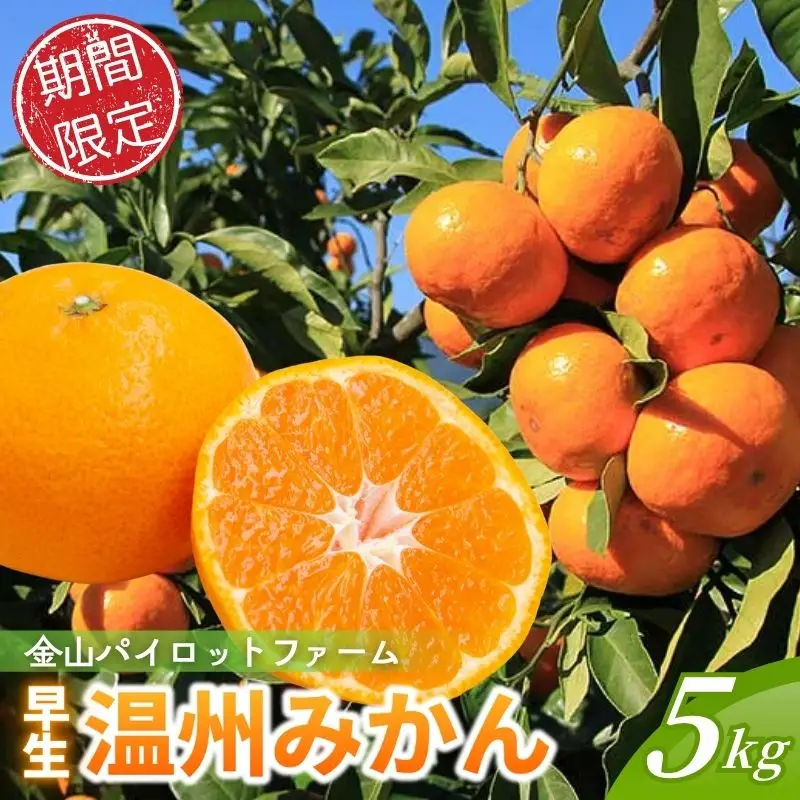 みかん 早生温州みかん 5㎏【knpr0014A】