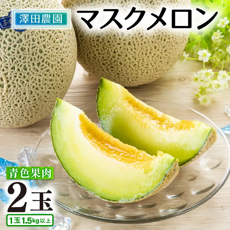 【先行予約】青肉マスクメロン（1.5kg以上 2玉入）味も見た目も抜群！アールスメロン  / あわら 期間限定 果物 フルーツ 産地直送 青肉 人気 ギフト 贈答 ※2027年7月上旬より順次発送  [aw039-a021]