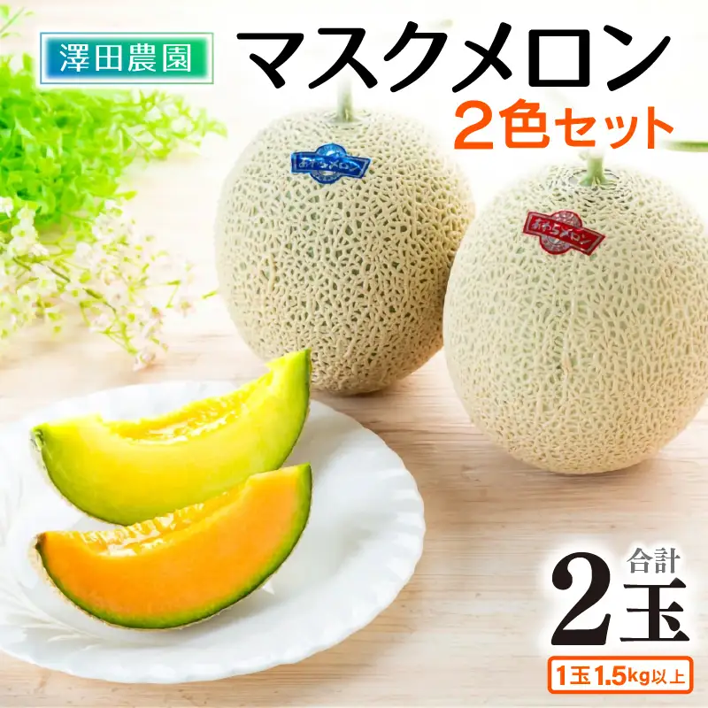 【先行予約】マスクメロン 青肉・赤肉 2色セット（1.5kg以上 2玉入）食べ比べお楽しみ！アールスメロン ／ あわら 期間限定 果物 フルーツ 産地直送 人気 甘い ※2027年7月上旬より順次発送 [aw039-a022]