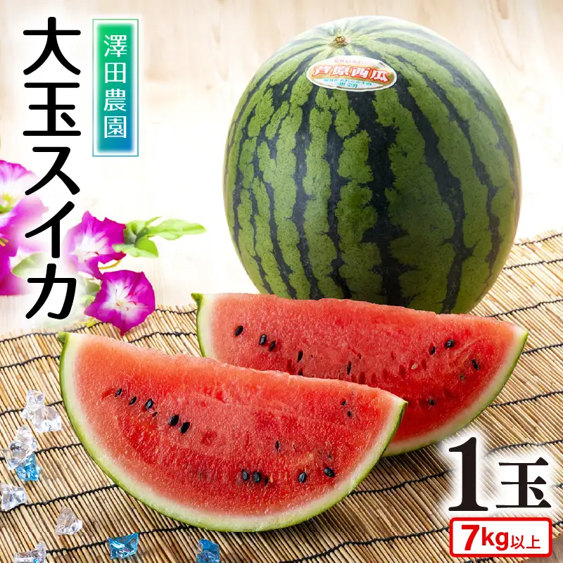 先行予約】大玉スイカ（7kg以上 1玉入) 皮際まで甘い！シャリ感も抜群