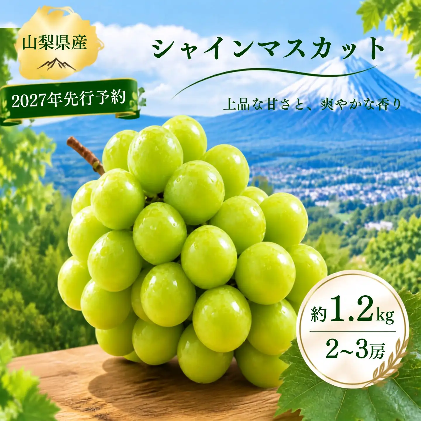 【数量限定】シャインマスカット 約1.2kg  2027年収穫分　