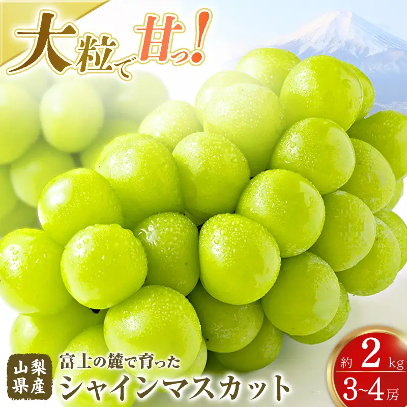 【2026年発送】シャインマスカット 約2.0kg シャインマスカット
