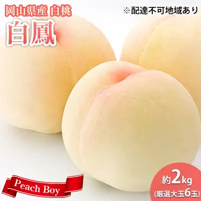 【 2027年 先行予約】 桃 岡山県産 数量限定50箱 極撰 白鳳 （ 白桃 ） 2kg 厳選 大玉 6玉  《2027年7月上旬-7月中旬頃出荷》岡山 スイーツ フルーツ 果物 先行予約 数量限定 期間限定 岡山 里庄町 