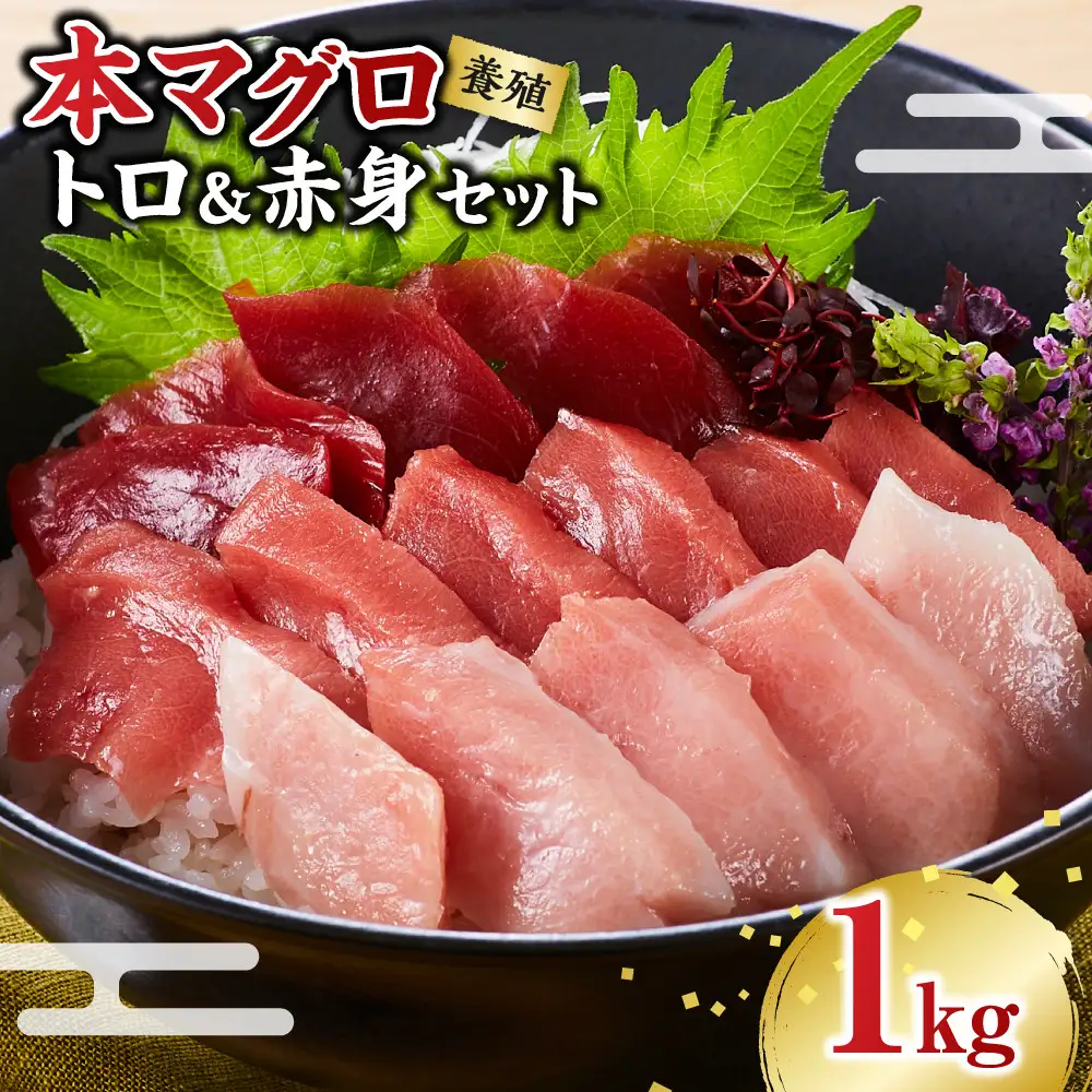 本マグロ（養殖）トロ＆赤身セット 1kg  まぐろ ［KS13］