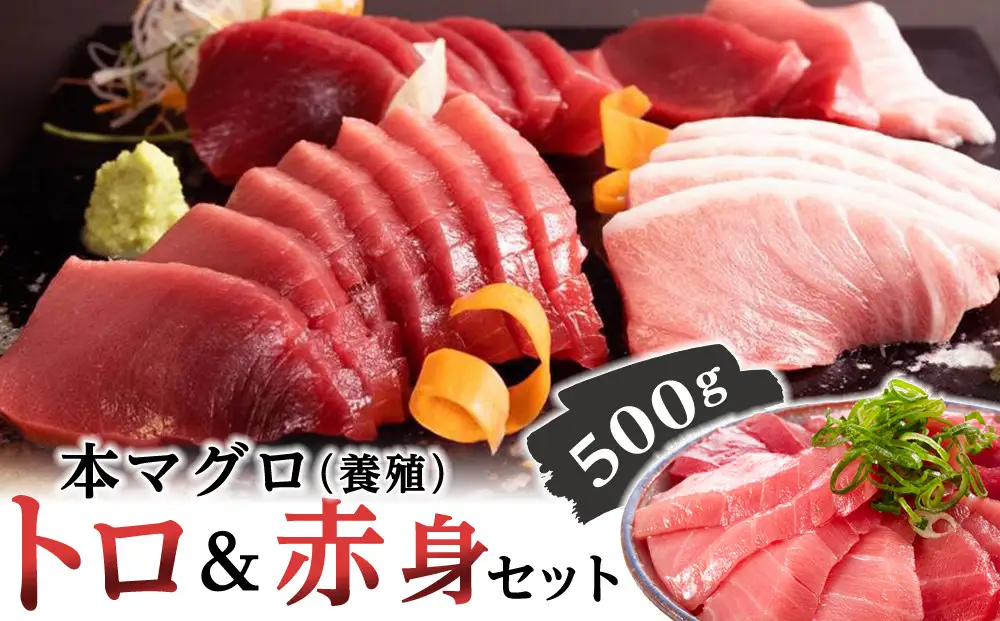 本マグロ（養殖）トロ＆赤身セット 500g［KS12］ まぐろ 年内発送受付中