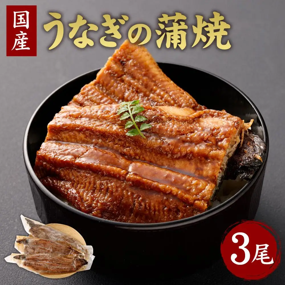 【うなぎ玄】伏見の名水仕込み 国産備長炭うなぎ蒲焼き3本セット