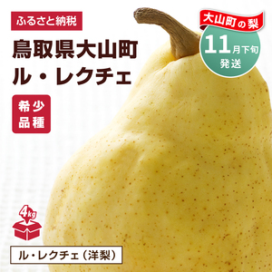 YN-09　鳥取県産洋ナシ ル・レクチェ梨　4kg