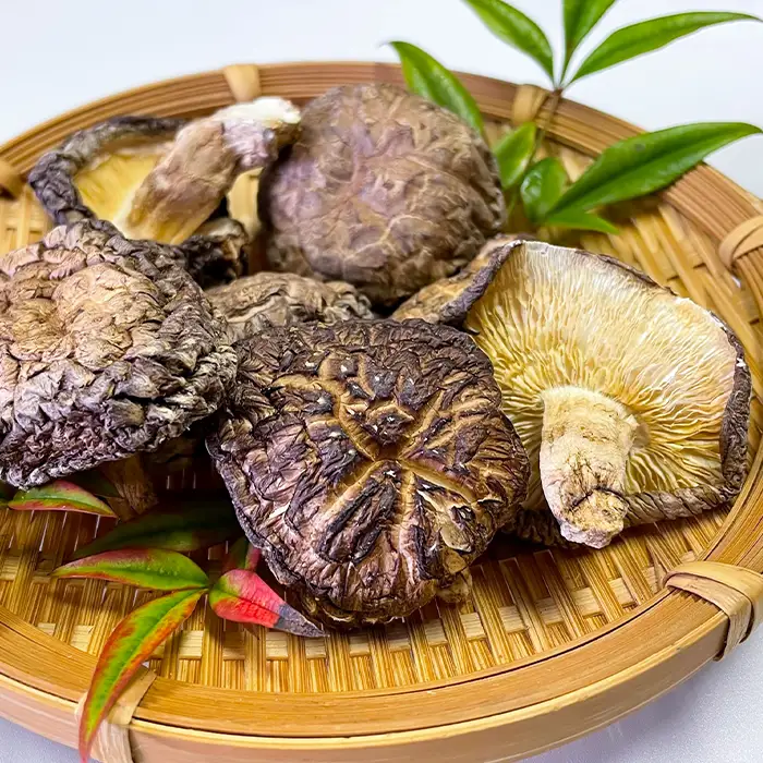 さんべきのっこ村の原木乾燥しいたけ（200g）【干し椎茸 5袋 干ししいたけ 個包装 国産 原木しいたけ 無農薬 化学肥料不使用 天然素材 乾物 きのこ ギフト 贈り物】