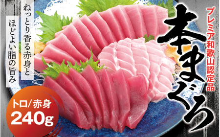 本マグロ（養殖）トロ＆赤身セット 240g  【１ヶ月以内に順次発送】【配達日指定不可】高級 クロマグロ  中トロ 中とろ まぐろ マグロ 鮪 刺身 赤身 柵 じゃばらまぐろ 本マグロ 本鮪【nks113B】