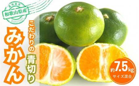 【2026年秋頃発送予約分】こだわりの青切りみかん　約7.5kg  有機質肥料100%　 サイズ混合　※2026年9月～10月に順次発送（お届け日指定不可） みかん 柑橘類【nuk107F】