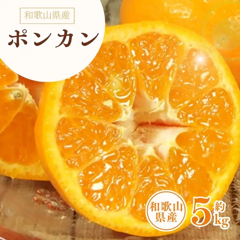 ポンカン 約5kg / サイズおまかせ　※2027年1月下旬～2027年2月下旬頃に順次発送予定(お届け日指定不可)　紀伊国屋文左衛門本舗　【sgtb451B】