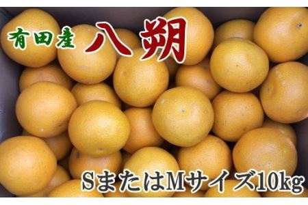 【手選果】有田産の八朔10kg（SまたはMサイズいずれかお届け）＜2027年1月下旬～2027年2月下旬頃に順次発送＞【tec845A】