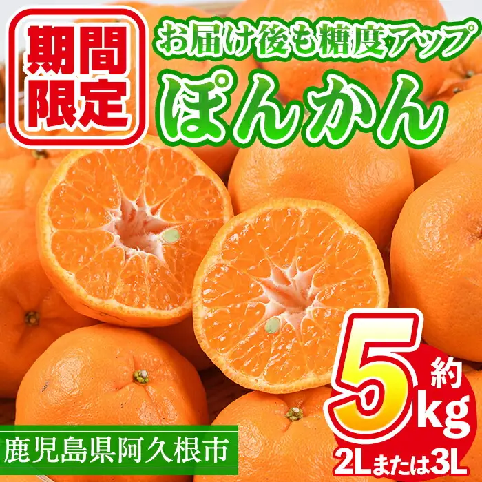 ＜先行予約受付中！2026年12月下旬以降順次発送予定＞数量限定！鹿児島県産 手詰めぽんかん(計約5kg・2L or 3L) 旬 フルーツ 果物 くだもの ポンカン 早生系統 デザート ノーワックス 阿久根市産 期間限定 数量限定 手詰 手作業【三笠農業生産】akn051-01