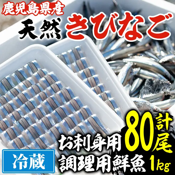 鹿児島県阿久根産！天然きびなごのお刺身(40尾×2パック)と鮮魚(1kg)セット 国産 九州産 鹿児島産 鮮魚 魚介 セット【濱崎魚類】akn023-03