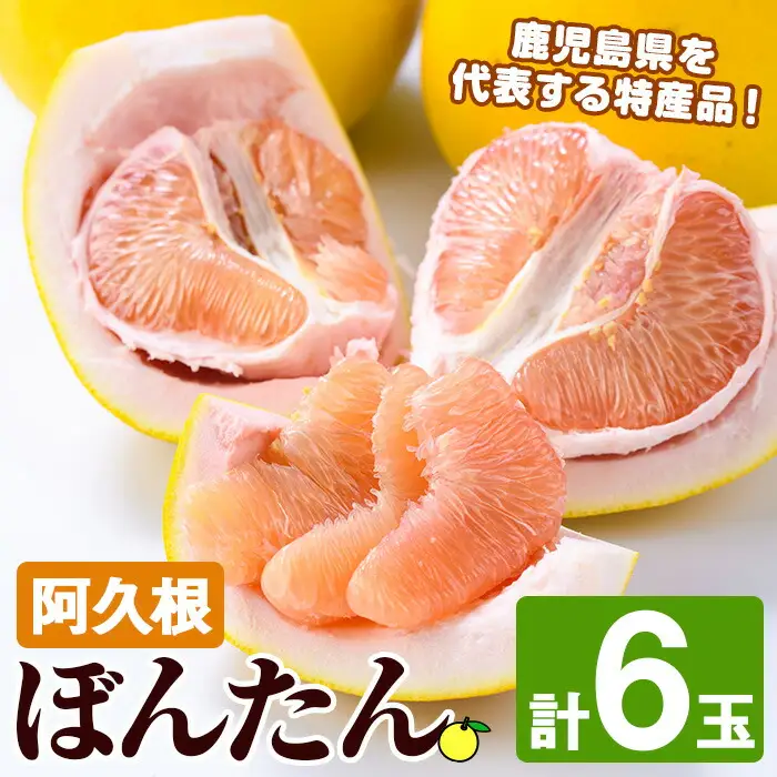 ＜先行予約受付中！2026年12月中旬以降順次発送予定＞ 阿久根ぼんたん(Lサイズ・6玉入) 阿久根市 ボンタン 文旦 柑橘 果物 フルーツ 新鮮 旬 特産品 鹿児島県 九州産 国産 期間限定 数量限定 【泰平食品】akn007-03